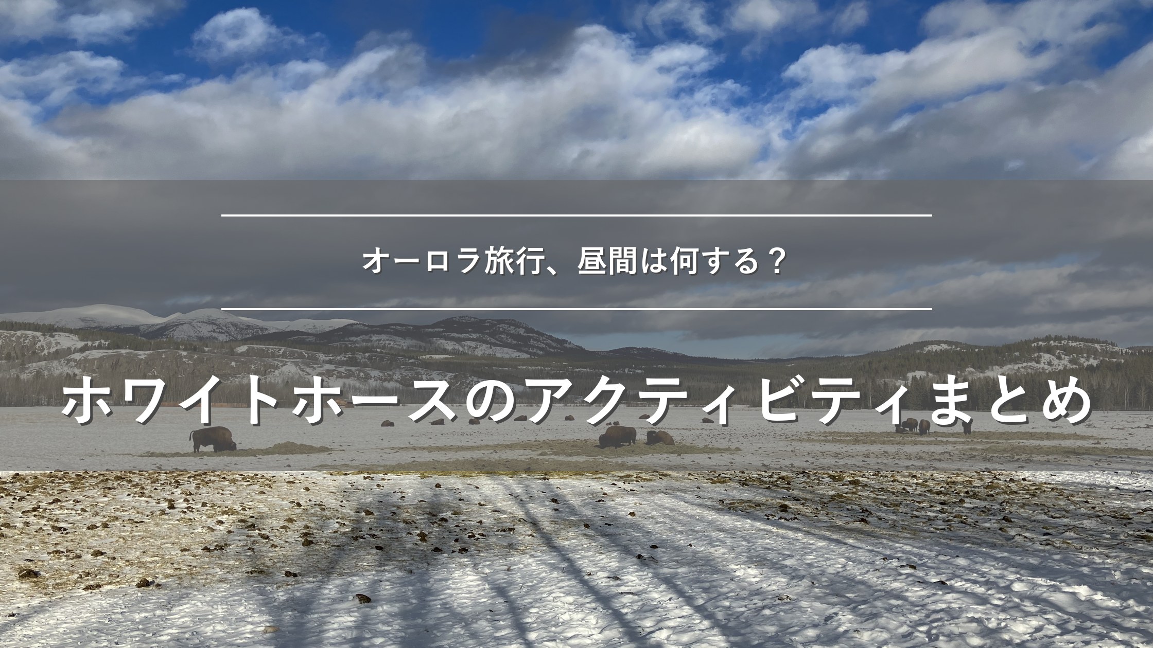 ホワイトホースのオーロラ旅行、昼間は何する？アクティビティまとめ